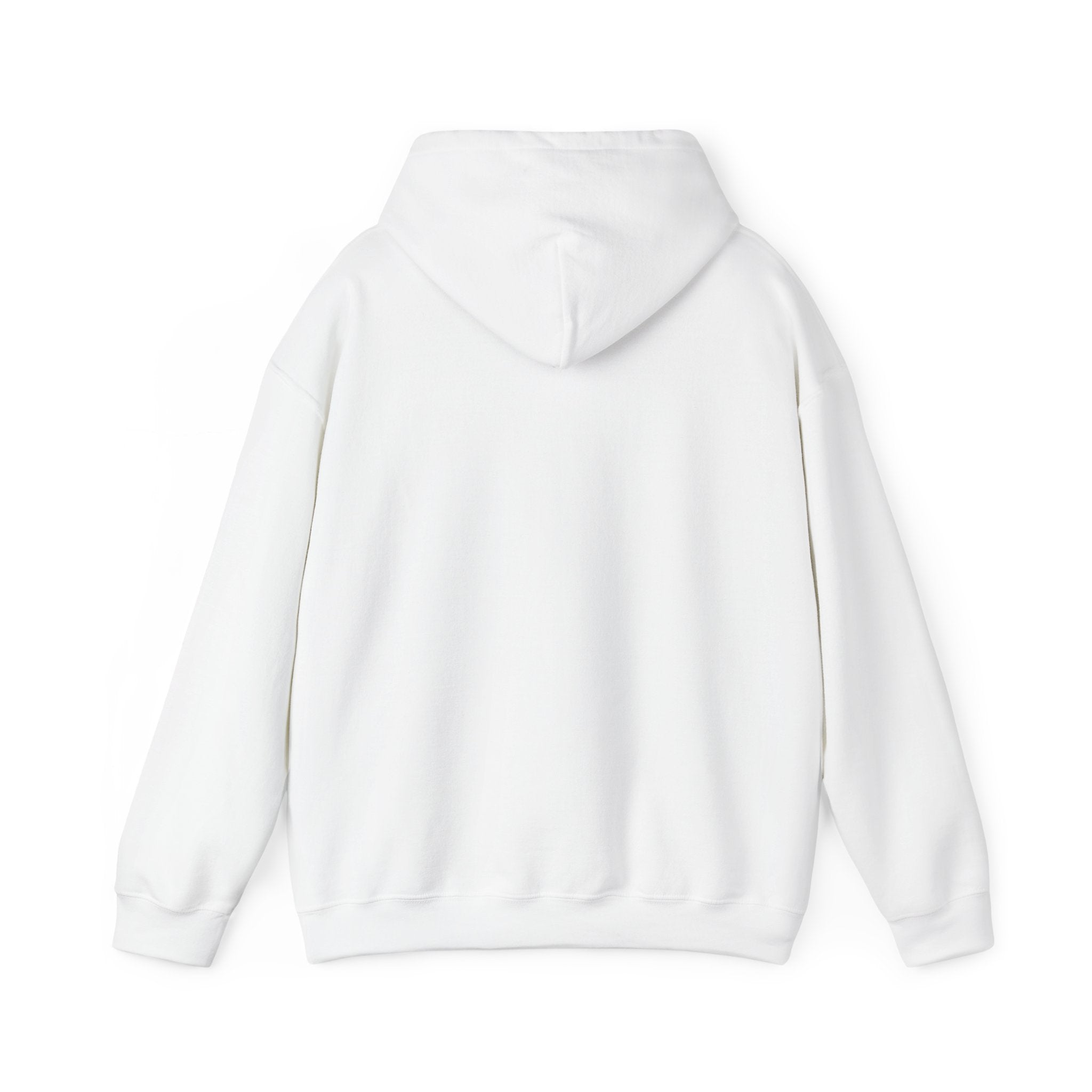 Boost Culture | AirFilter Hooded Sweatshirt